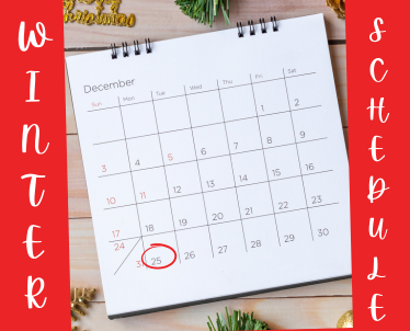 Programul de transport pentru vacanța de iarnă